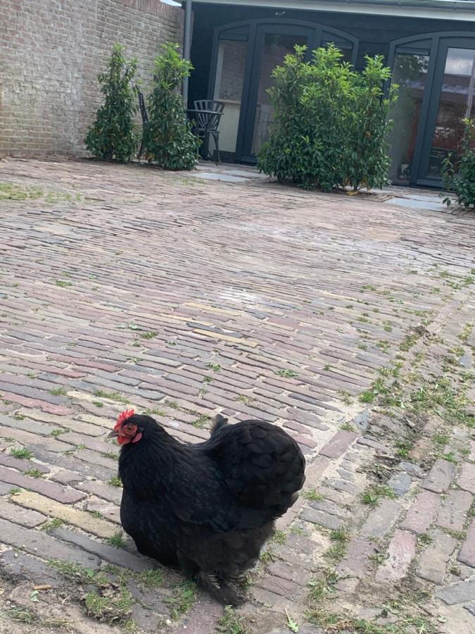 Ferienwohnung Het Dijkje Utrecht Exterior foto